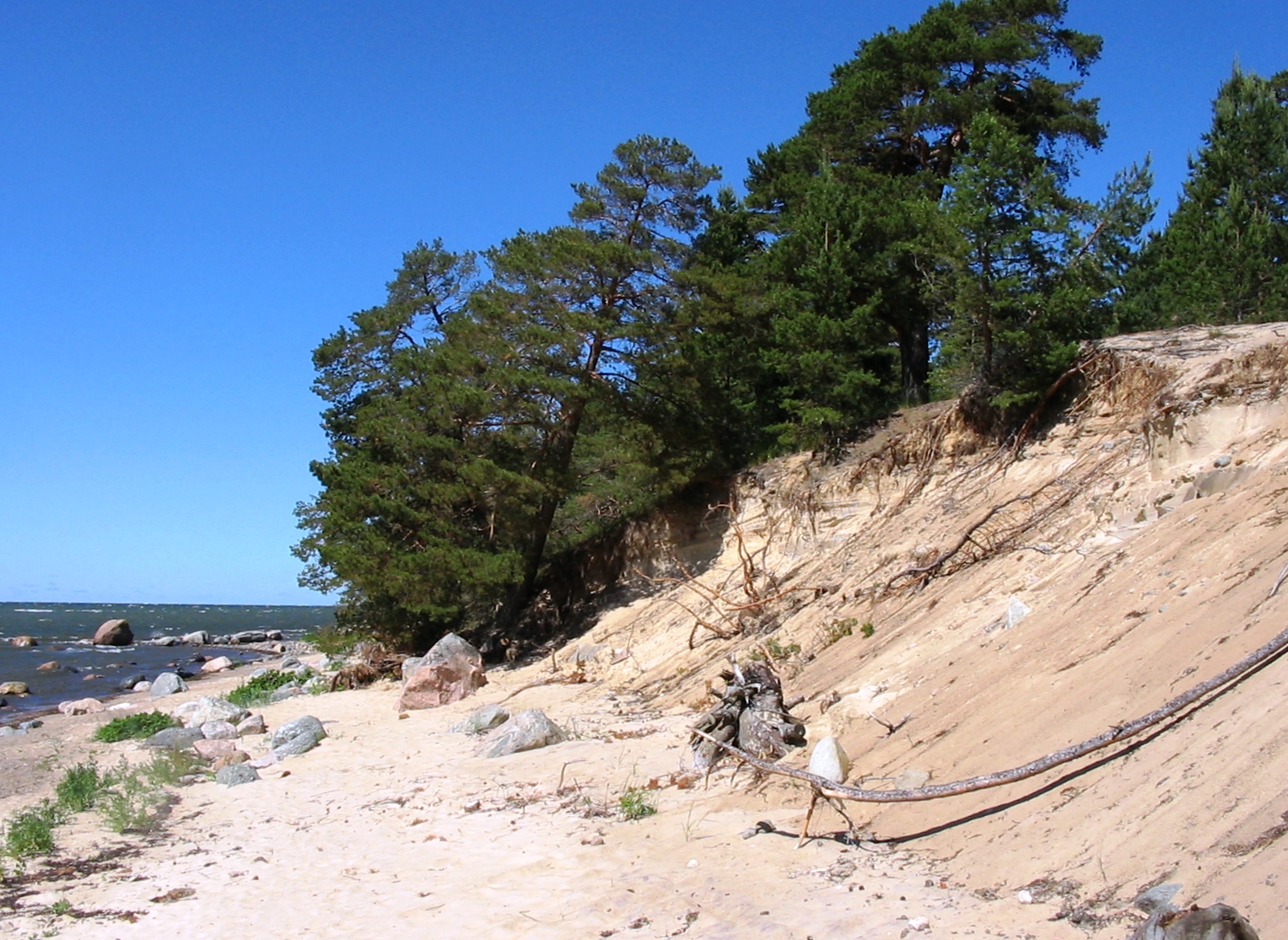 Laulasmaa lõunarand