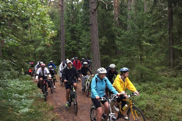 Metsatee Klooga ja Kloogaranna vahel