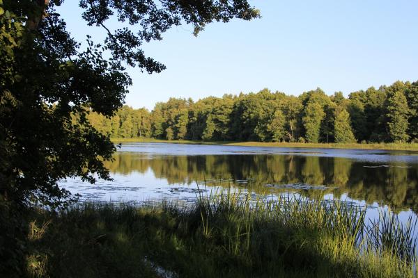 Soodajärv